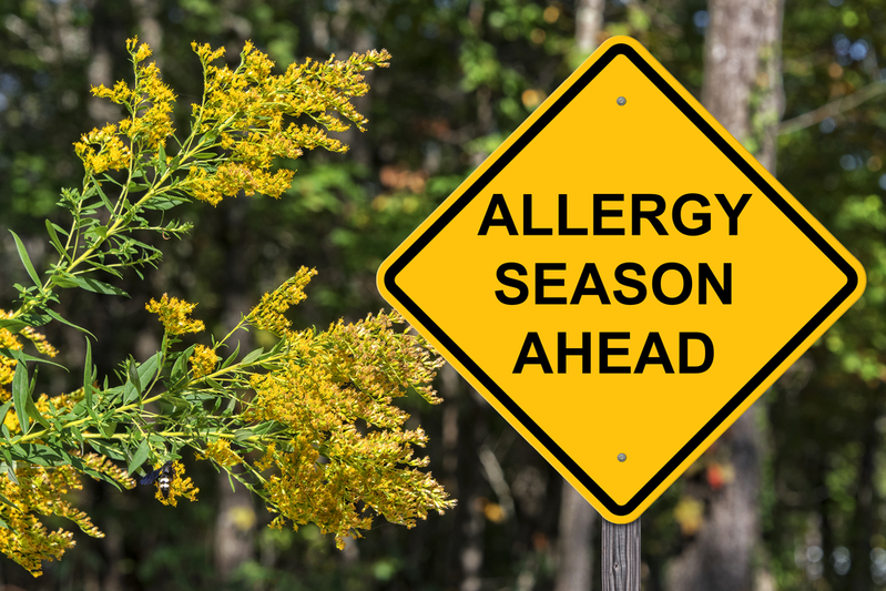 allergy season warning sign