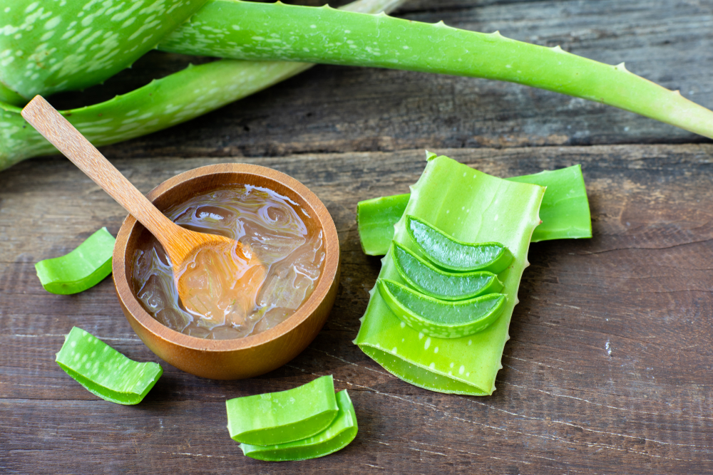 slices of aloe vera plant and wooden bowl of aloe vera gel